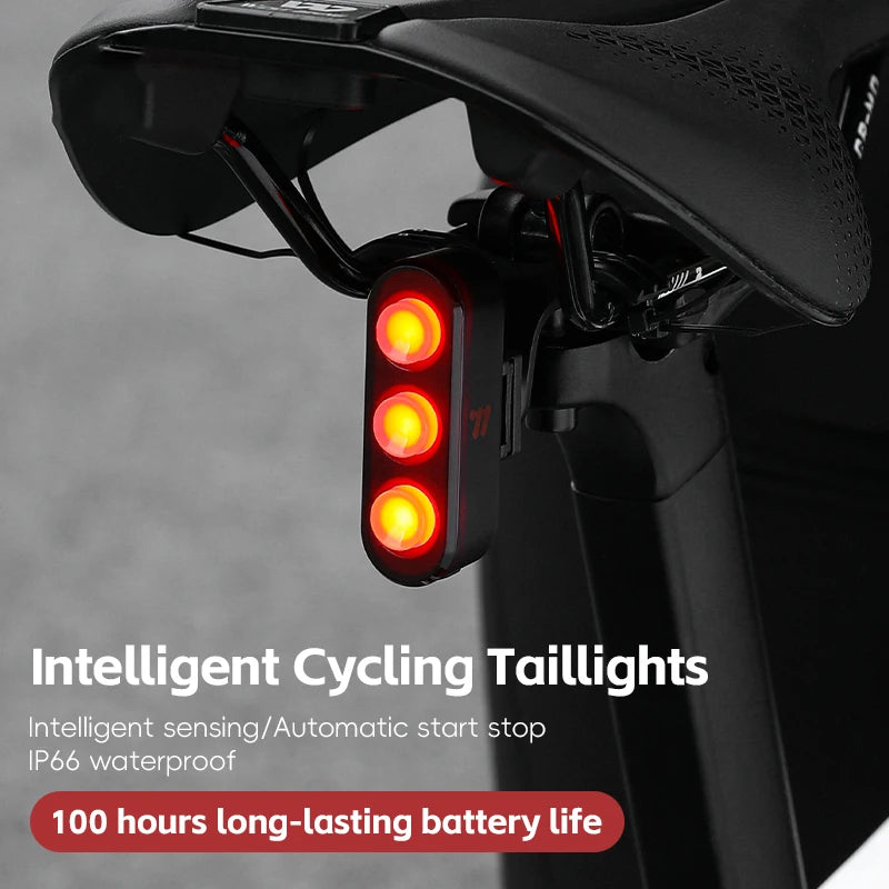 WEST BIKING Rechargeable Bicycle Rear Light – IP66 Waterproof, Auto Start/Stop & Brake Sensing